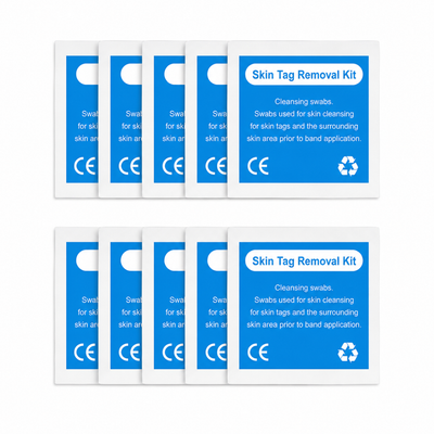 Antibacterial Wipes (10pcs)